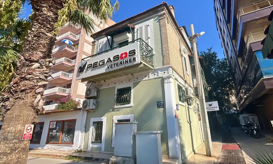 Pegasos Küçükyalı Polikliniği